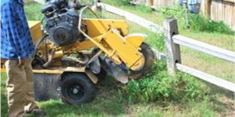quality stump grinding requires high tech machines