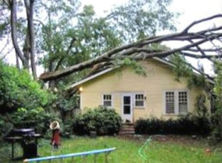 a hurricane blew a tree on a house the owners called us for emergency tree service