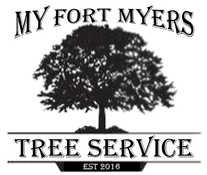 tree service fort myers florida cherry picker high in a tree