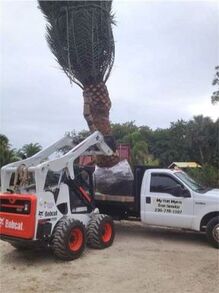tree transplanting services fort myers