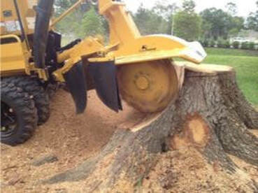 stump grindng machine at work preforming professional stump removal services